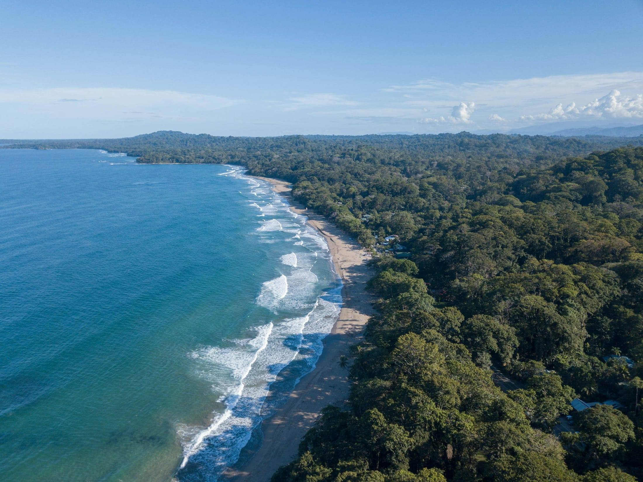 Aerial view of Playa Cocles and the jungle coastline