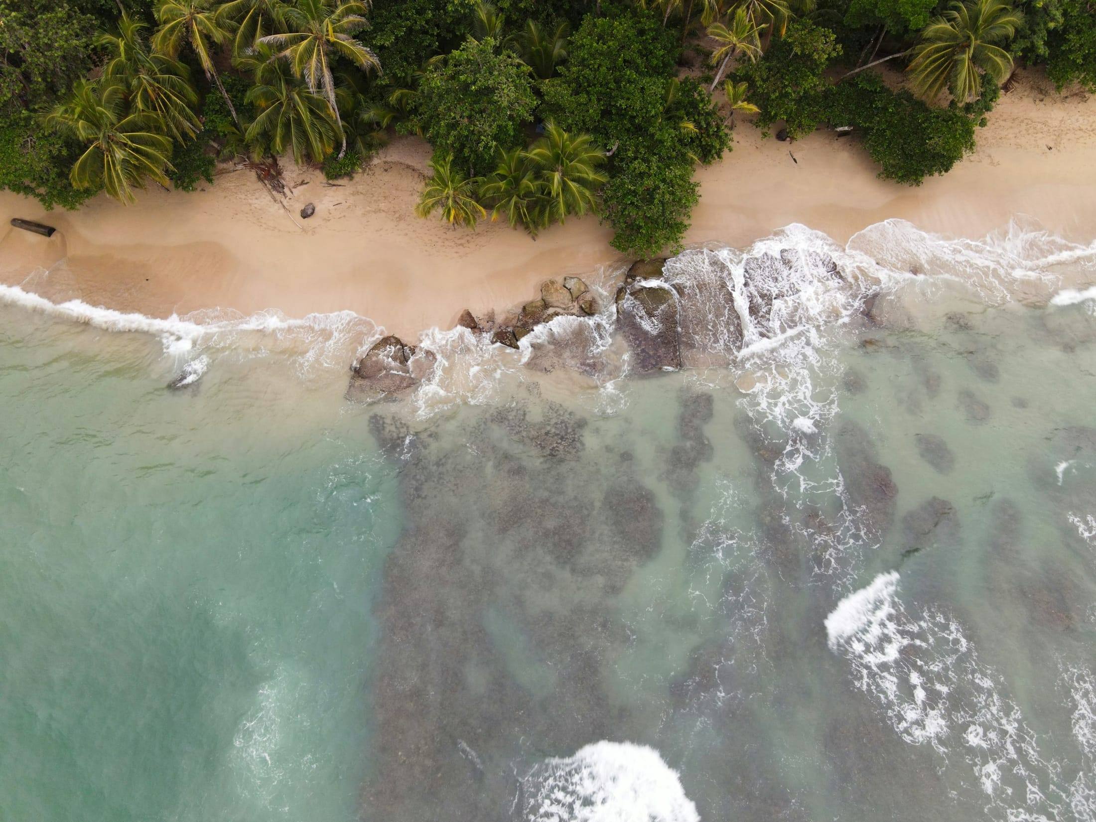 Palm-lined beach on Costa Rica’s southern Caribbean coast