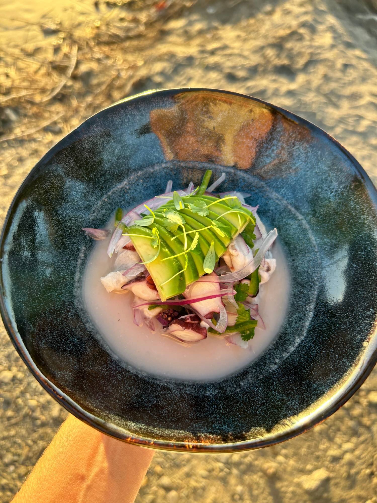 Ceviche of fresh fish and octopus with red onion, cilantro, chile and fanned avocado in tiger’s milk