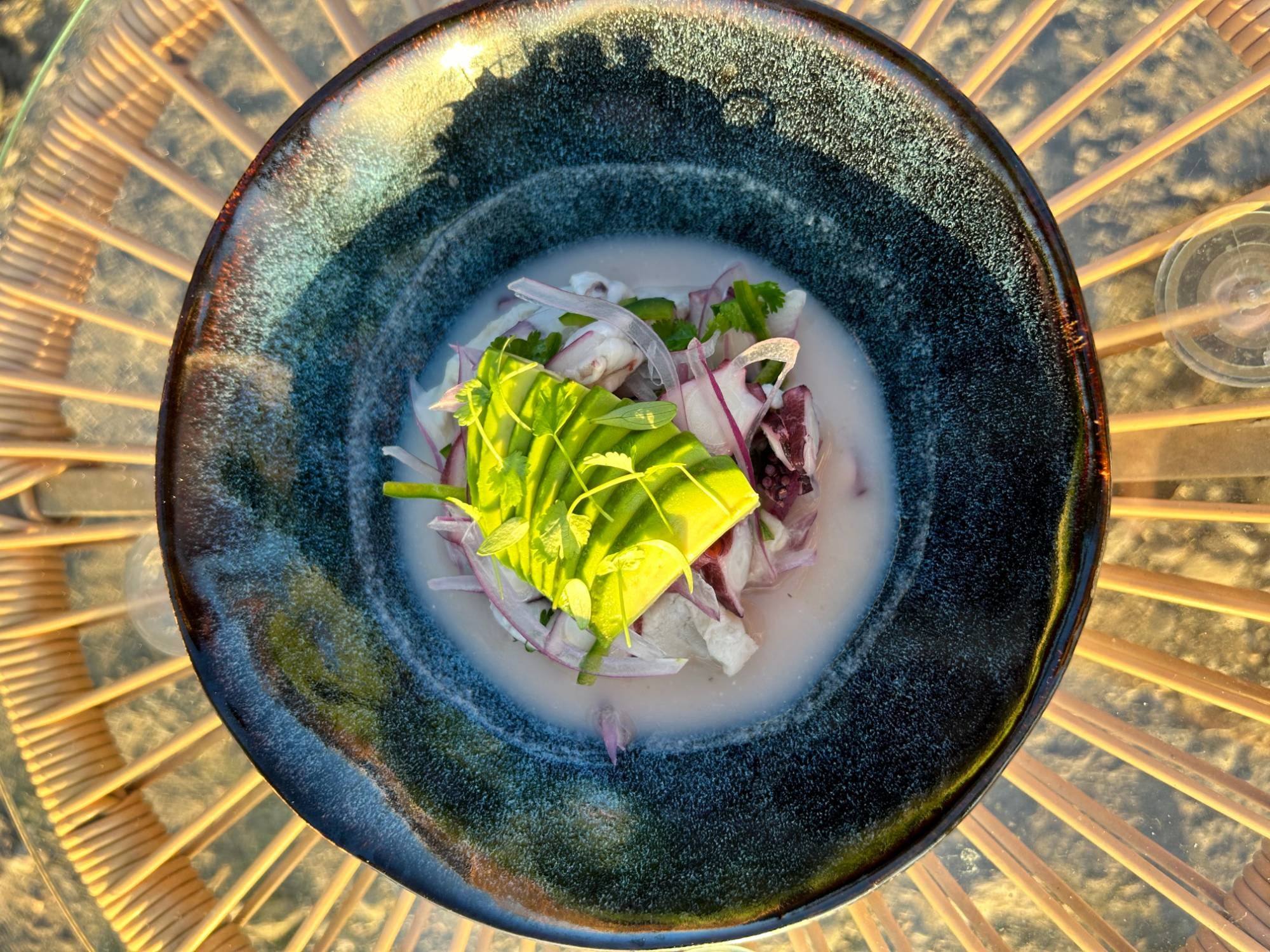 Ceviche with fanned avocado and microgreens in a dark ceramic bowl, seen from above in golden light