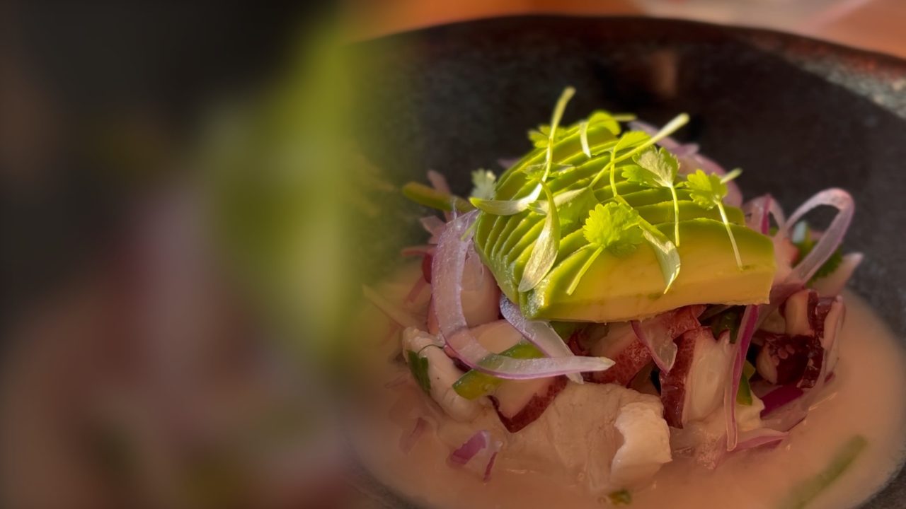 Chef Julián’s ceviche with fanned avocado and microgreens in golden evening light